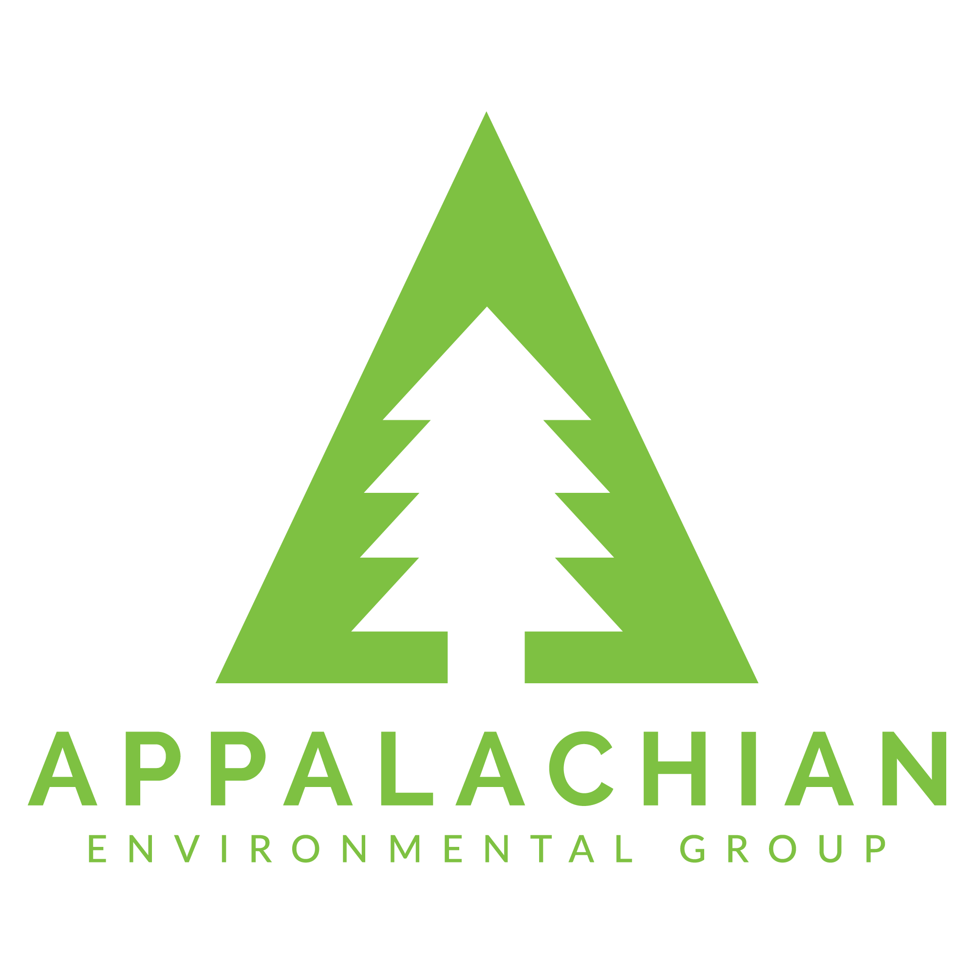 Appalachian Environmental Group